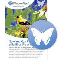 Butterfly Window Alert