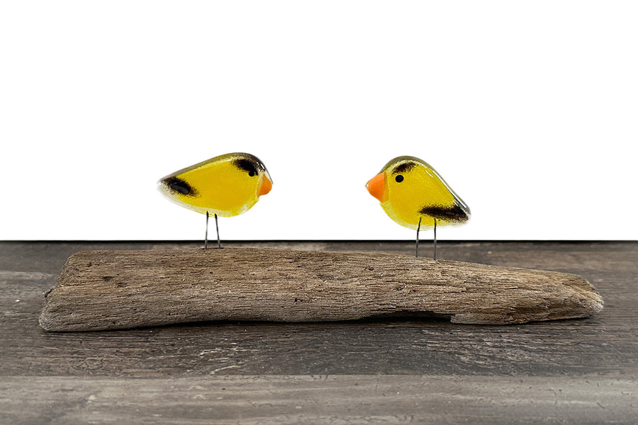 American Goldfinches, Perched Pocket Pair