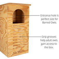 Barred Owl Nesting Box