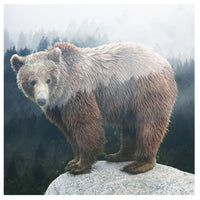 Handmade Marble Coaster - Forest Bear