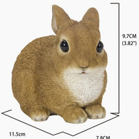 Sitting Rabbit