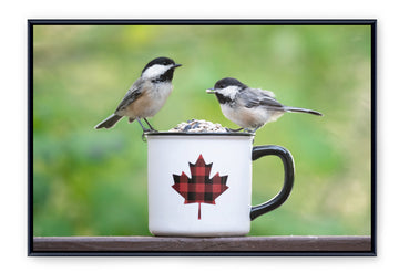 Canadiana Chickadees,  Framed Canvas