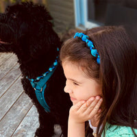 Lava Hair Band, Dog Collar