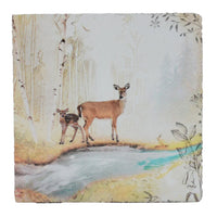 Lost & Found - Deer and Fawn