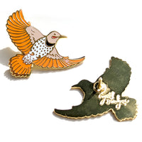 Northern Flicker