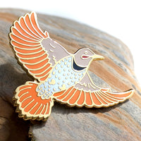 Northern Flicker