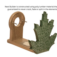 Hummingbird Nest Builder