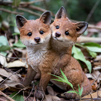 Fox Pups Hugging