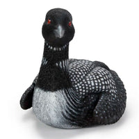 Loon
