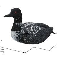 Loon
