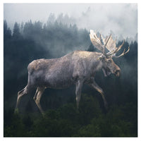 Handmade Marble Coaster - Forest Moose