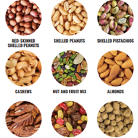 Squirrel Buster Classic Nut