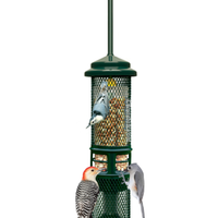 Squirrel Buster Classic Nut