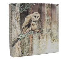 Lost & Found - Owl & Owlet