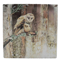 Lost & Found - Owl & Owlet