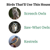 Cedar Screech Owl Nesting Box