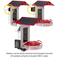 Smart 2-in-1 Hummingbird Feeder