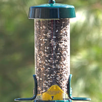 Brome Tube Solution 100