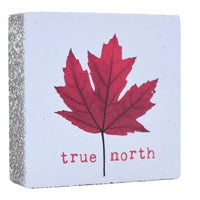 Lost & Found - True North
