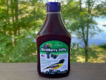 Birdberry Jelly
