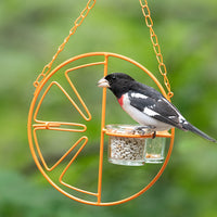Clementine Oriole Feeder