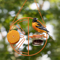 Clementine Oriole Feeder
