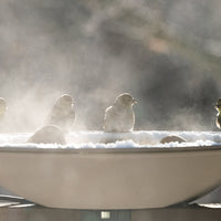 20" Heated Deck Bird Bath