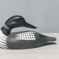 Loon with Chicks