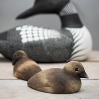 Loon with Chicks
