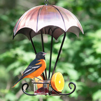 Copper Oriole feeder