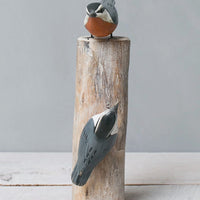 Red-breasted Nuthatch pair