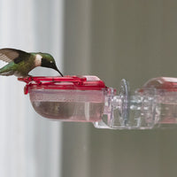 Gem Hummingbird Window Feeder