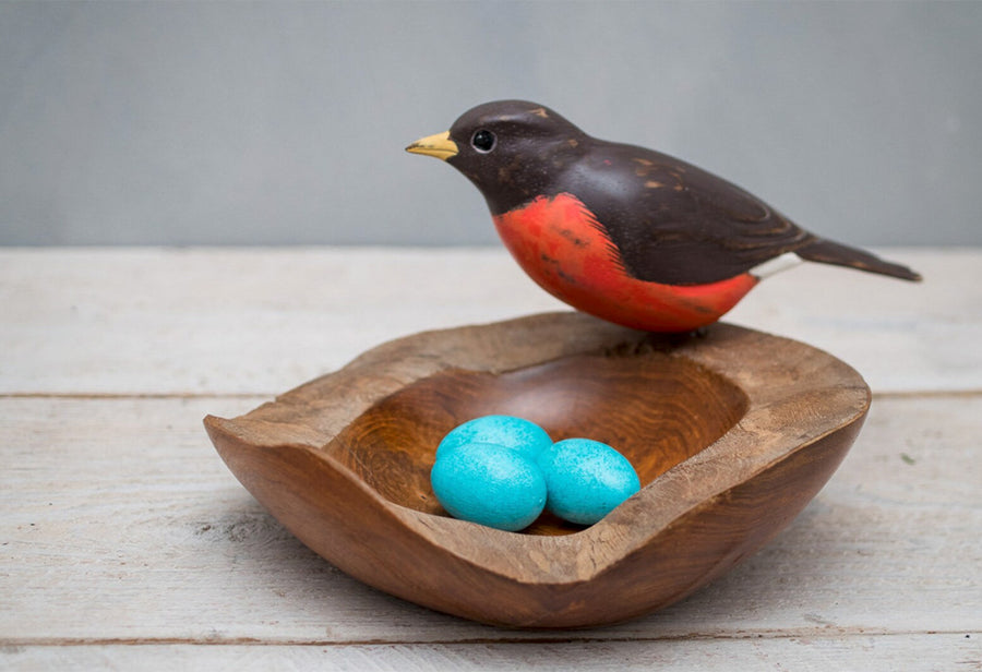 Robin on Nest with Eggs