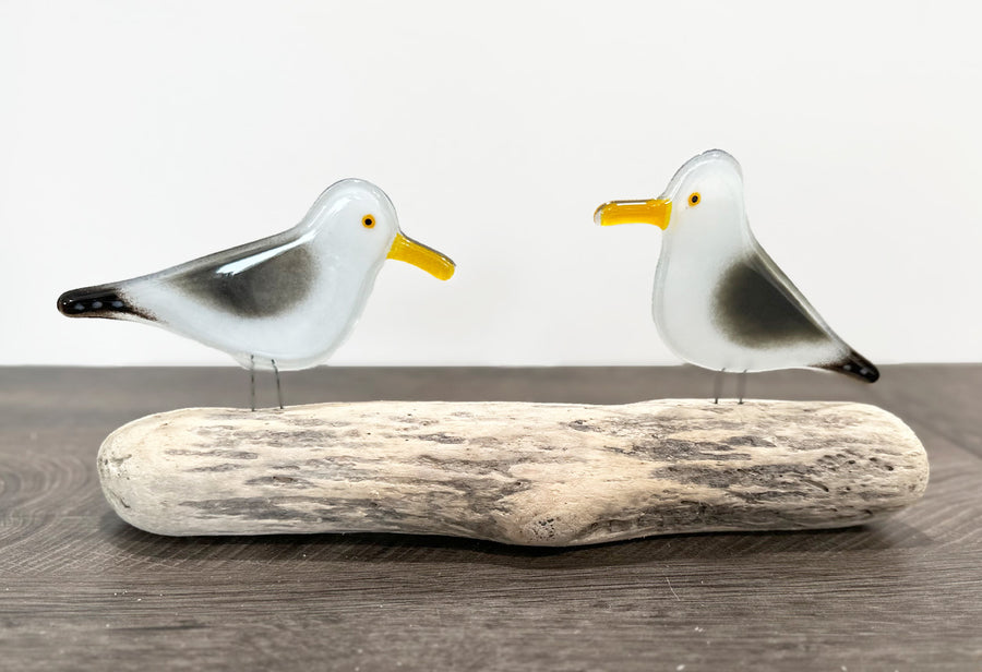 Herring Gulls, Perched Adult Pair