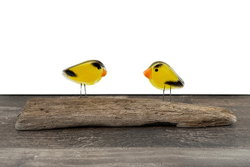 American Goldfinches, Perched Pocket Pair