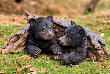 Hiding Bear Cubs