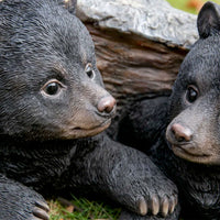 Hiding Bear Cubs