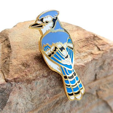 Blue Jay Pin
