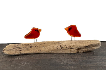 Northern Cardinals, Perched Pocket Pair