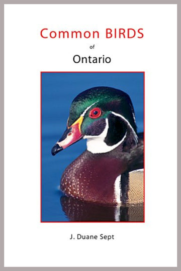 Common Birds of Ontario