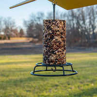 Seed Cylinder Feeder