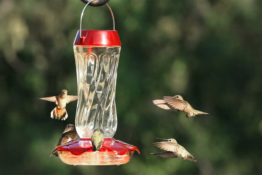 Classic Hummingbird Feeder