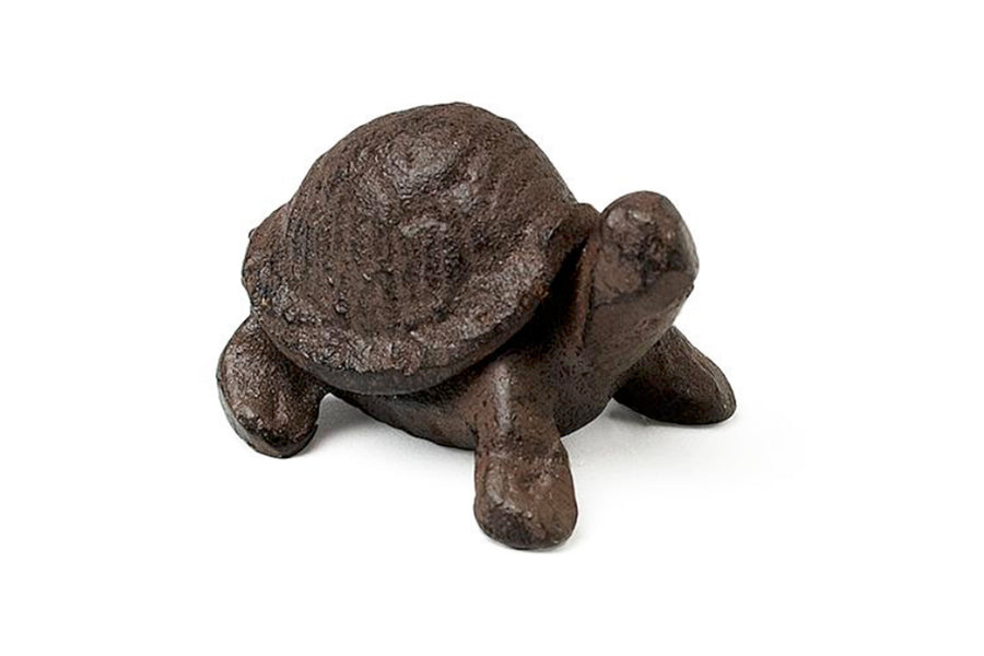Miniature Turtle