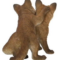 Fox Pups Hugging