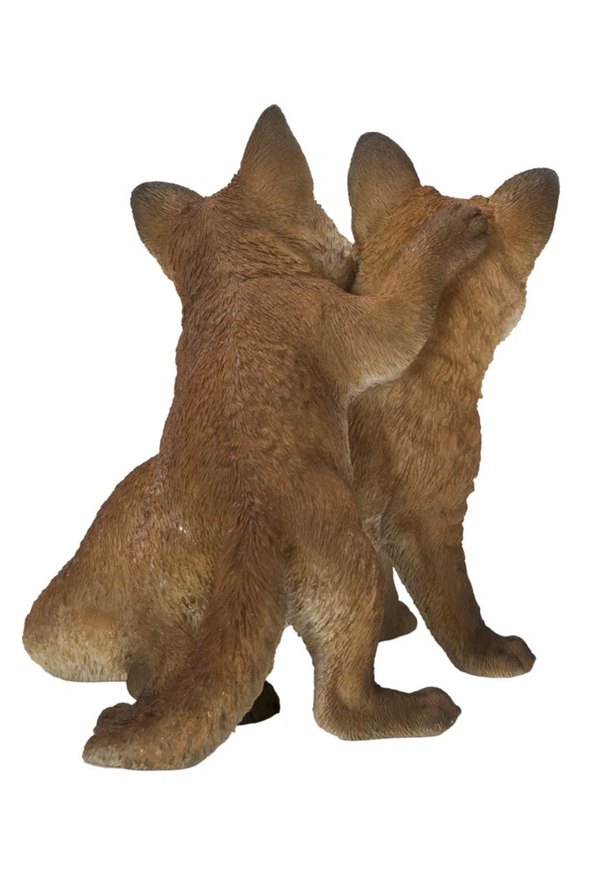 Fox Pups Hugging