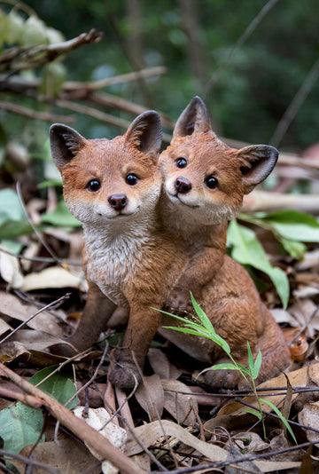 Fox Pups Hugging