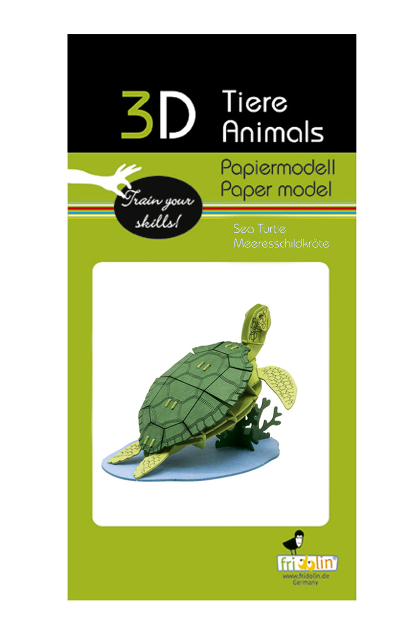 3D Turtle Paper Model