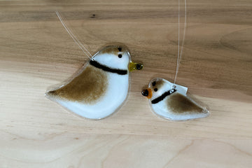 Piping Plover Ornament