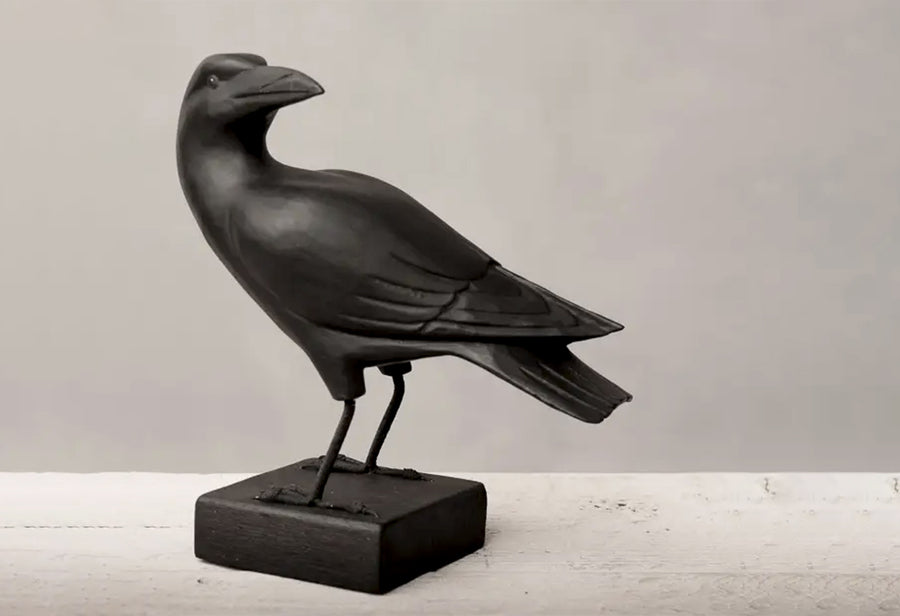 Raven, Turned