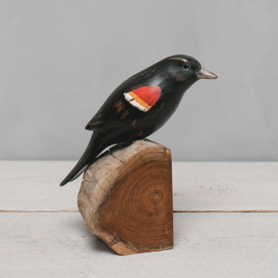 Red Winged Blackbird